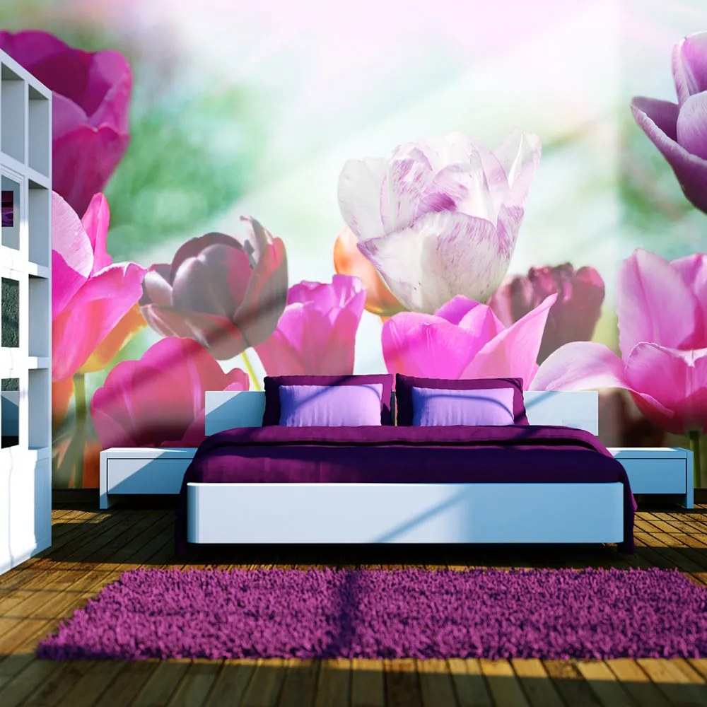 Fototapet Bimago - Beautiful Spring Flowers, Tulips + Adeziv gratuit 450x270  cm