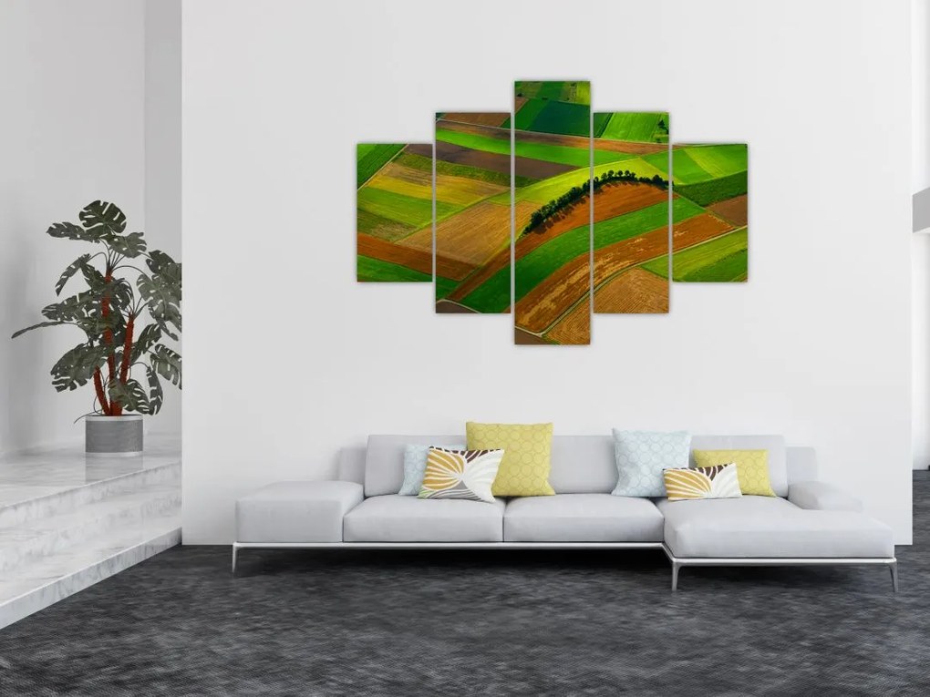 Tablou - Lan, luncile (150x105 cm)