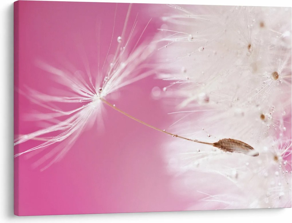 Tablou - Floare macro (70x50 cm)