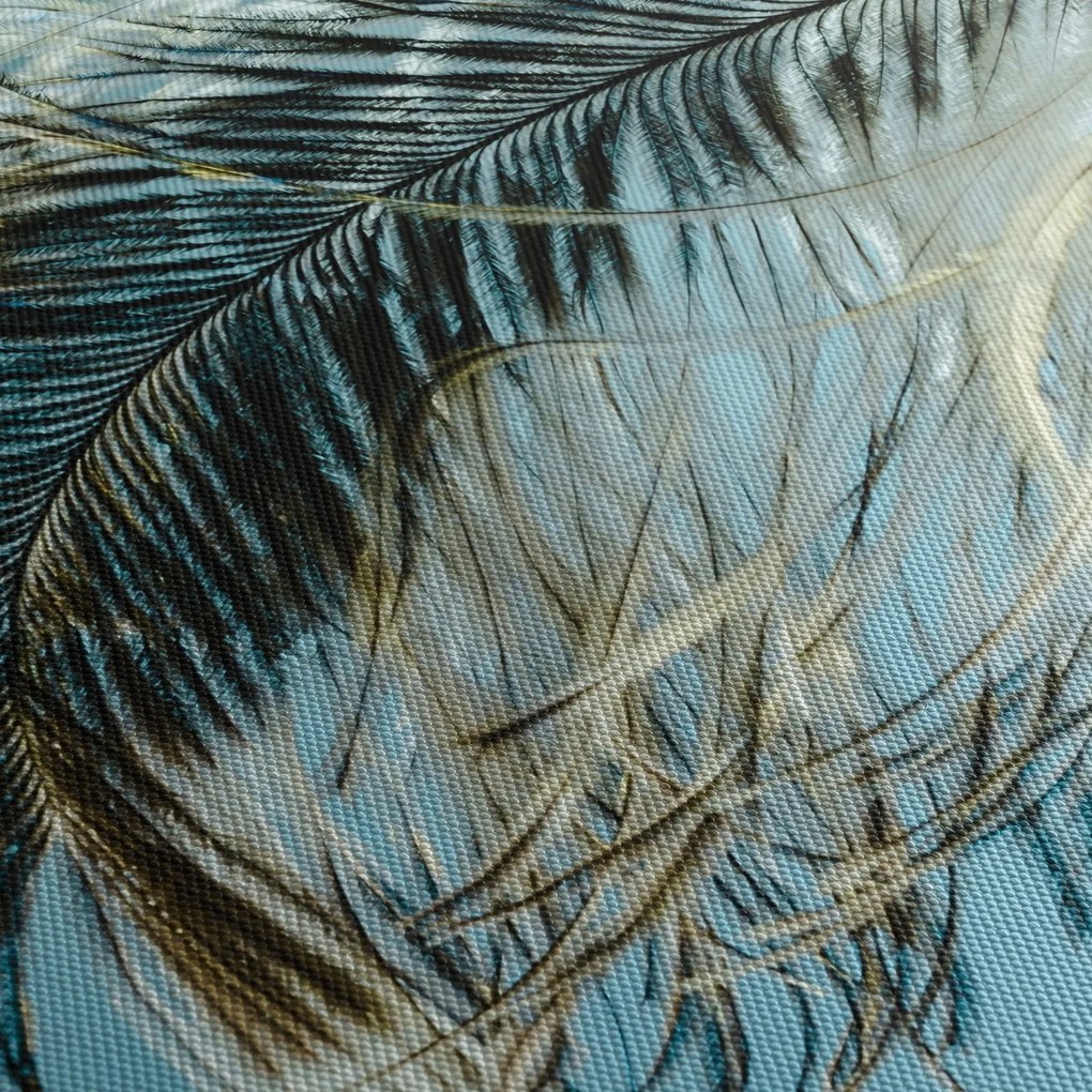 Tablou cu pană (120x50 cm)