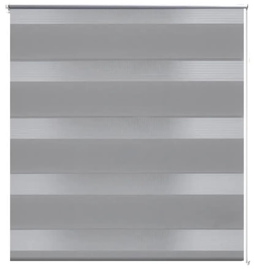 Jaluzea tip zebra, 60 x 120 cm, gri Gri, 60 x 120 cm