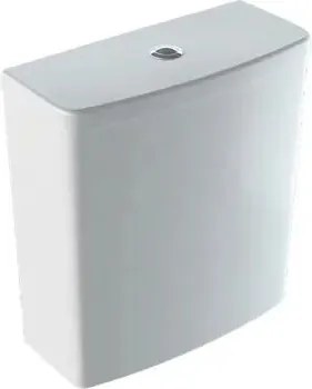 Rezervor pe vas wc Geberit Selnova Square cu alimentare laterala pentru Rimfree