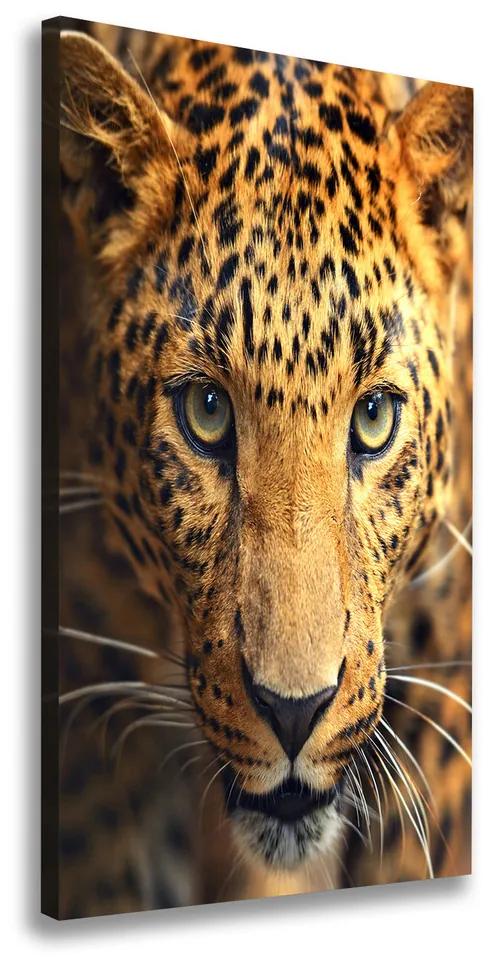 Imprimare tablou canvas Leopard