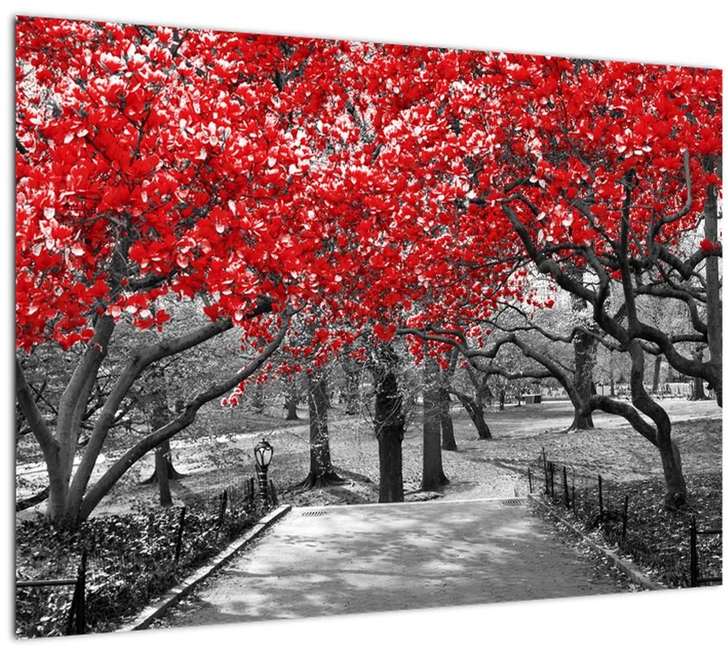 Tablou pe sticlă - Copaci roșii, Central Park, New York (70x50 cm)