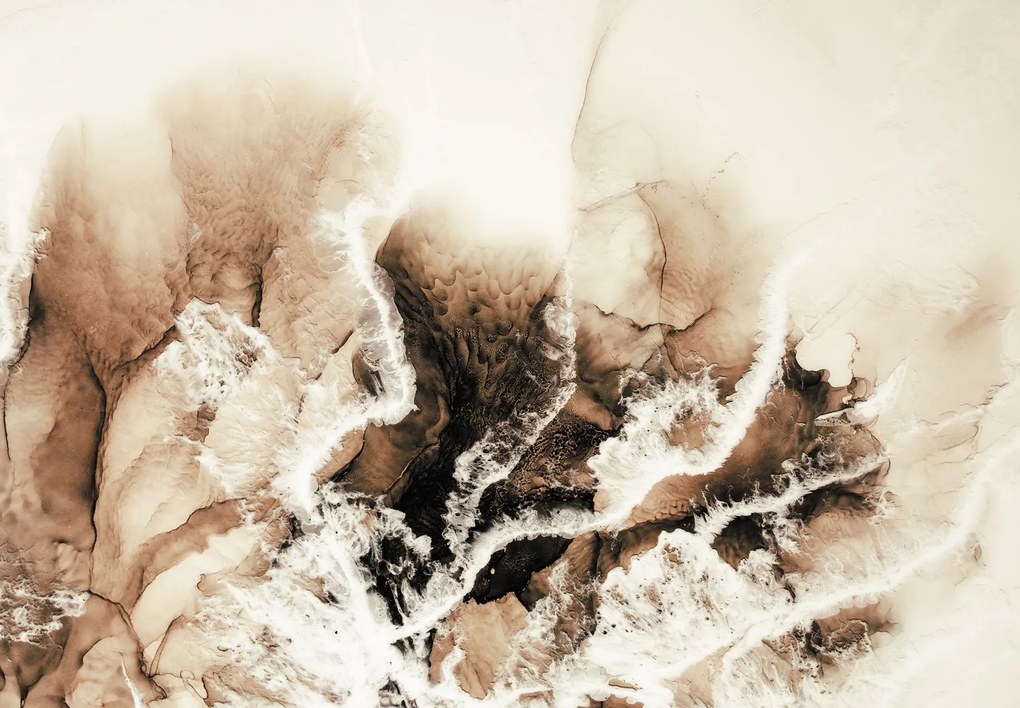 Fototapet - Flori,pictura (147x102 cm)