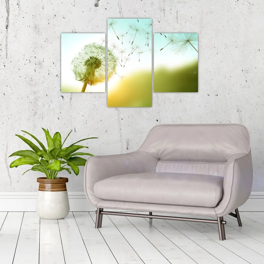 Tablou - Păpădia în vânt (90x60 cm)