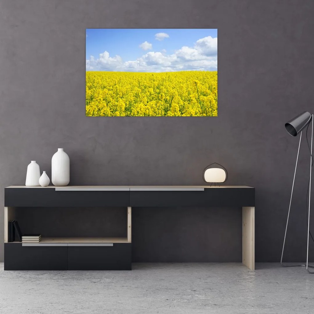 Tablou - Câmp galben (90x60 cm)