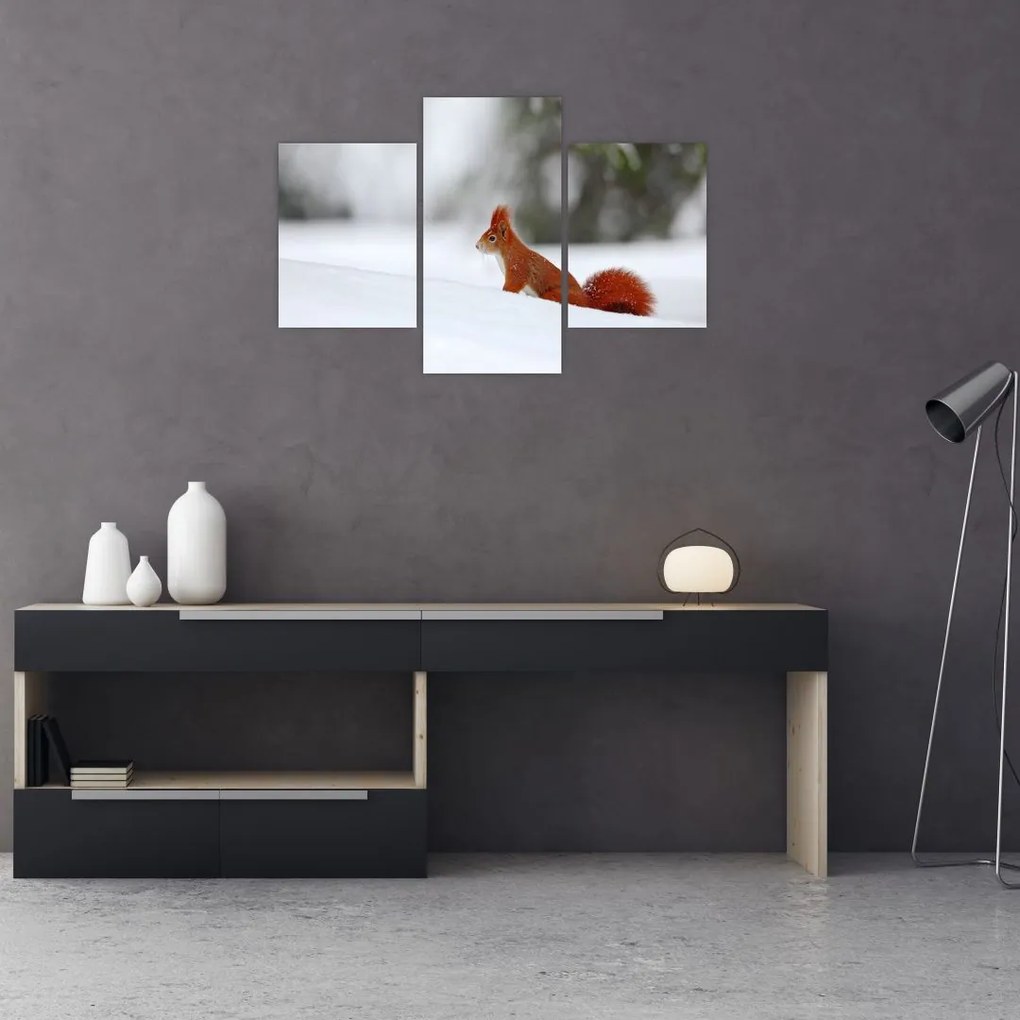 Tablou - Vevetițe (90x60 cm)