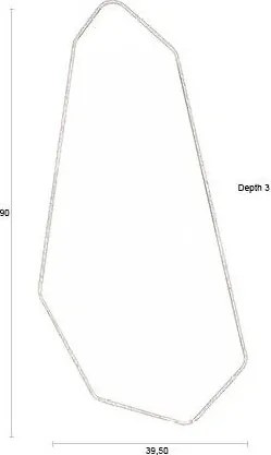 Oglindă de perete 39,5x90 cm Basil – Dutchbone