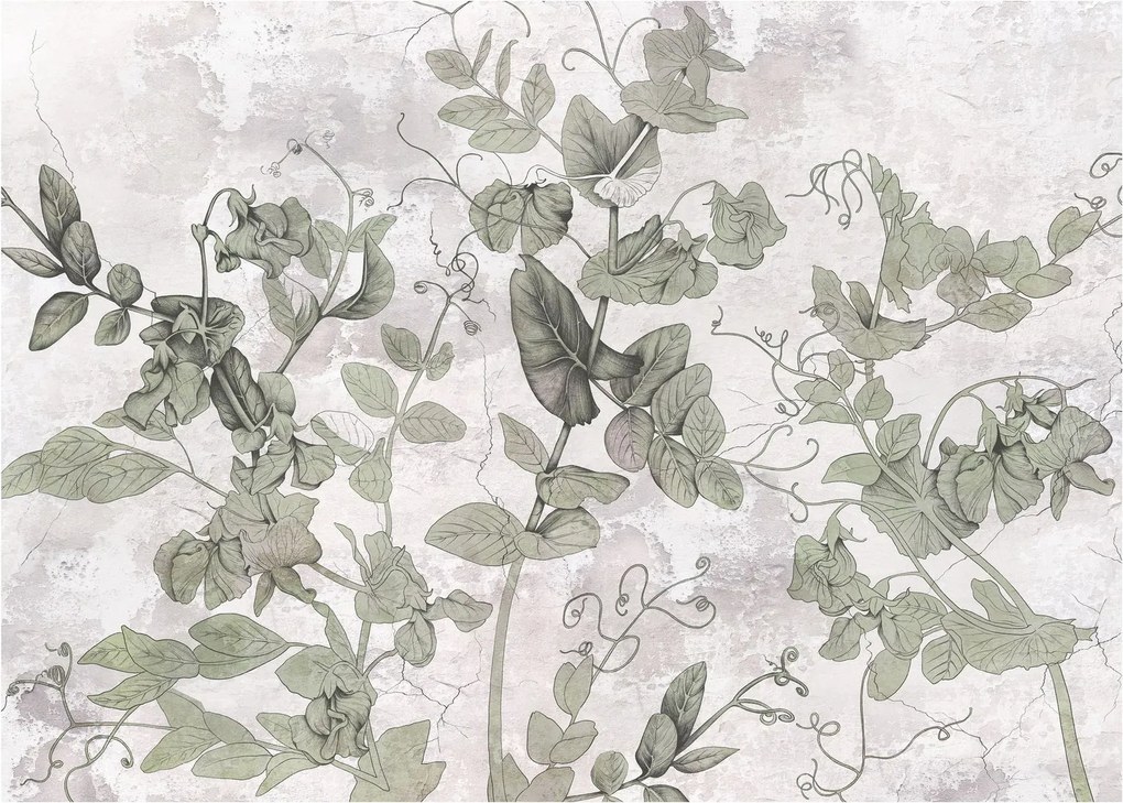 Tablou - Plante in ipsos (70x50 cm)