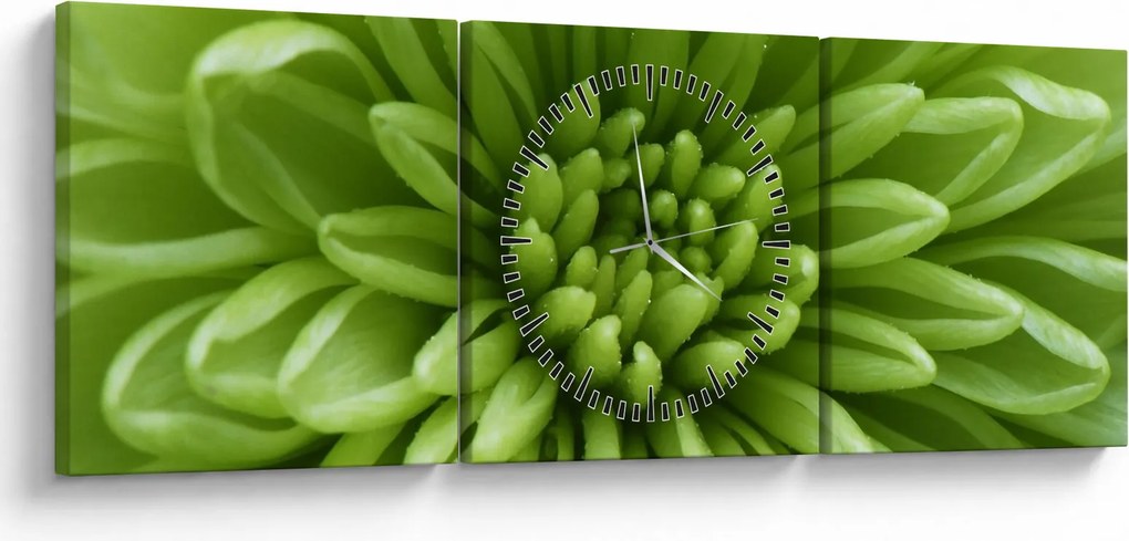 Tablou - Imagine macro a unei plante (cu ceas) (90x30 cm)