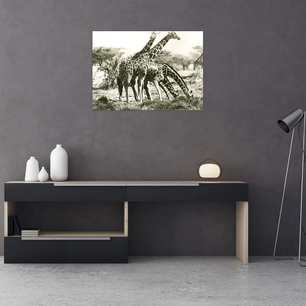 Tablou - Girafe, de epocă (70x50 cm)