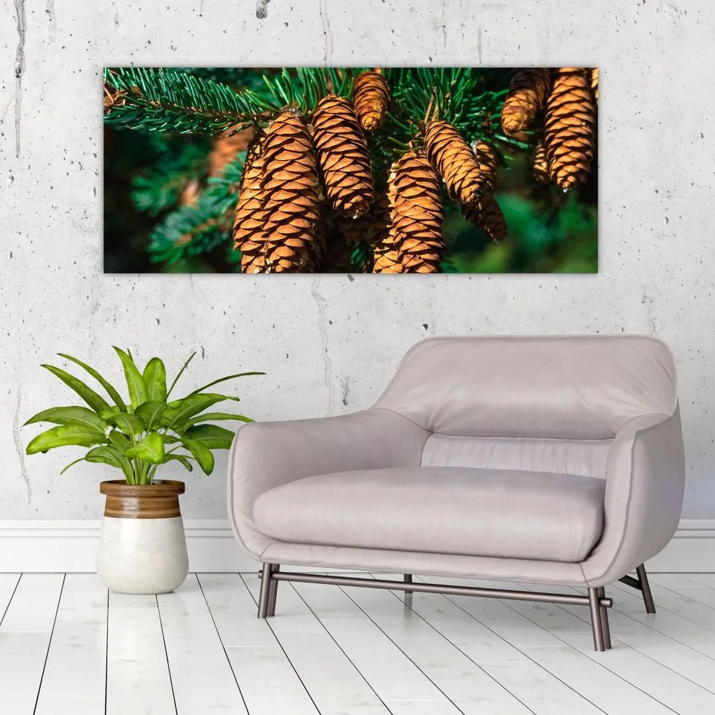 Tablou cu con de brad (120x50 cm)