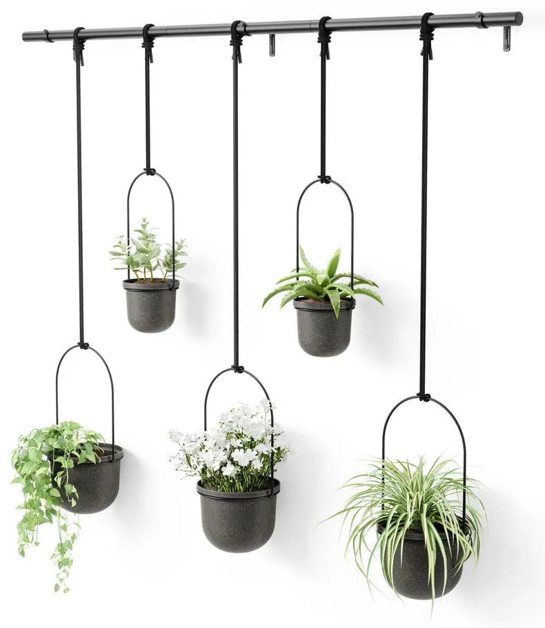 Ghivece decorative 5 buc. din plastic pentru ierburi aromatice/de agățat / de perete ø 7,5 cm Triflora – Umbra