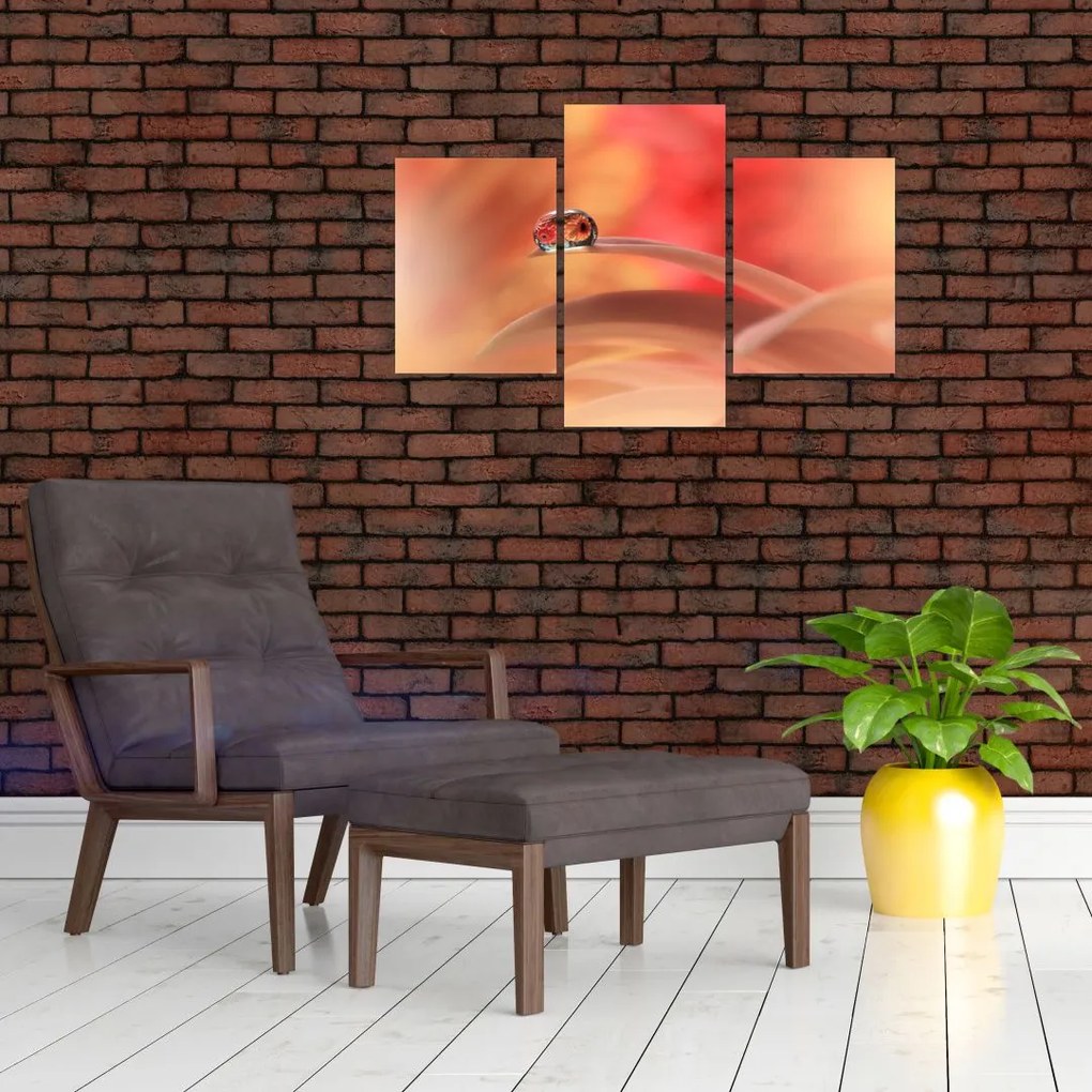 Tablou picăturii de rouă pe floare (90x60 cm)