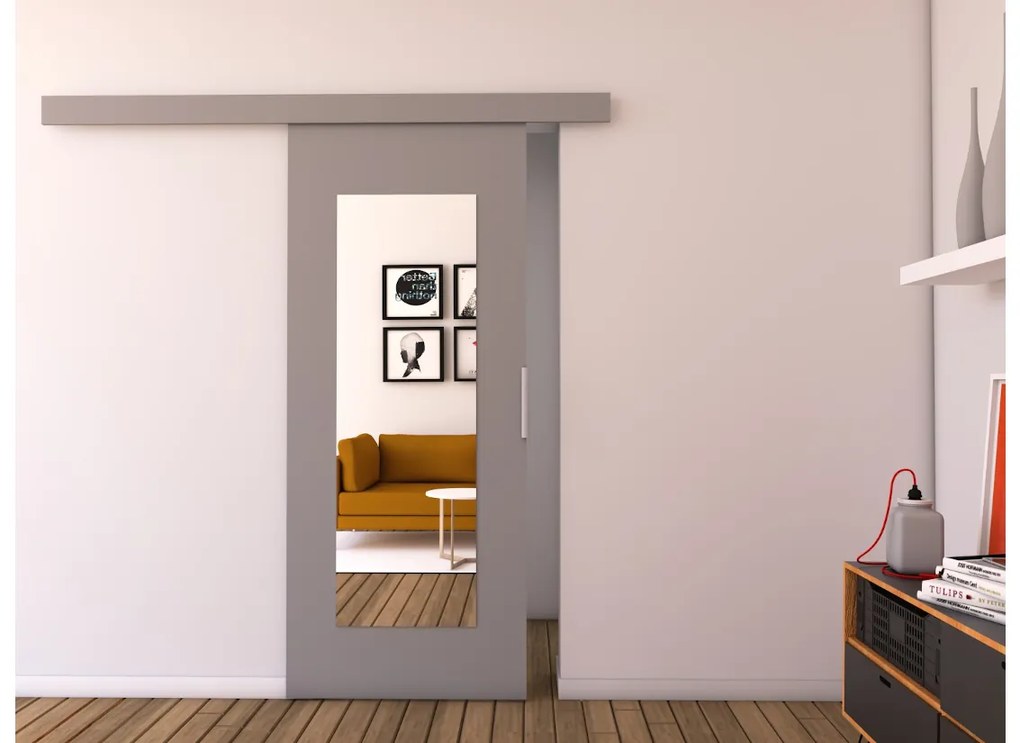 Supermobel Ușă glisantă cu oglindă STANDARD I + amortizor, 96x205, gri