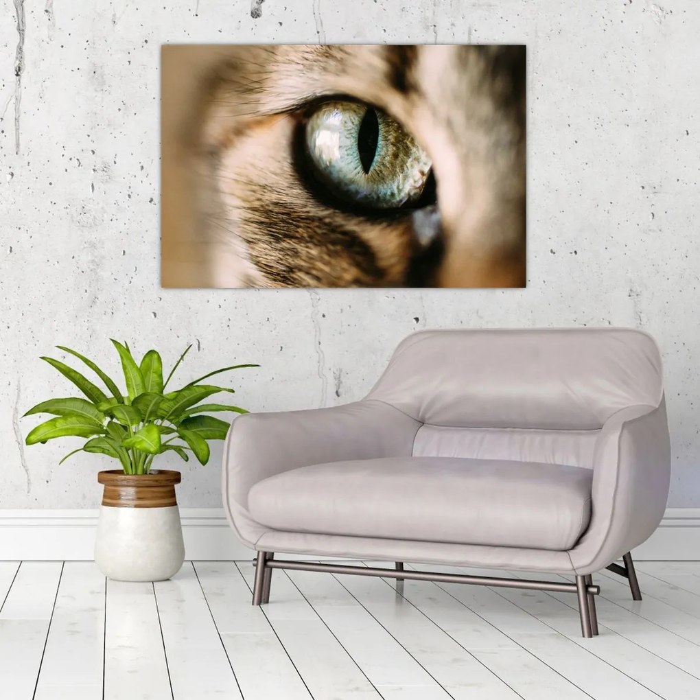 Tablou - Ochi de pisică (90x60 cm)