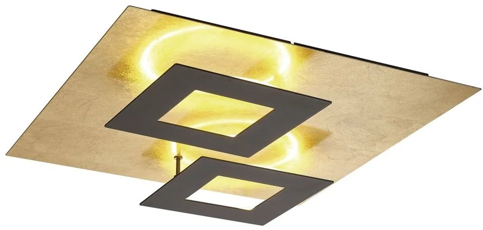 Plafoniera LED design ambiental DALIA Black/ gold