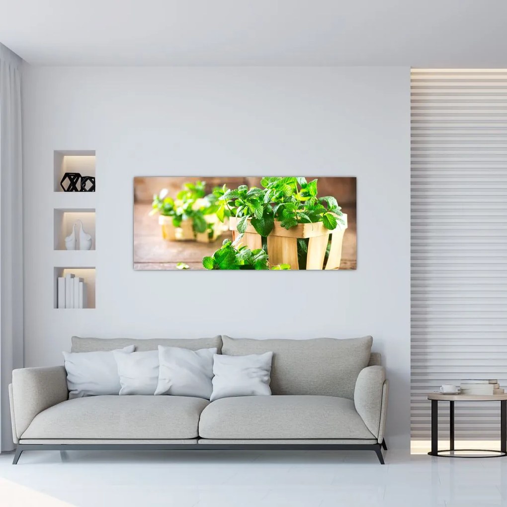 Tablou cu menta proaspătă (120x50 cm)