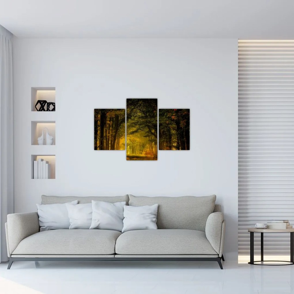 Tablou cu pădure (90x60 cm)