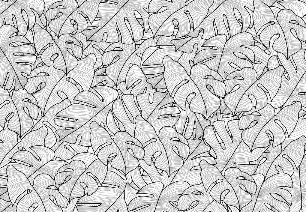 Fototapet - Frunze de monstera (147x102 cm)