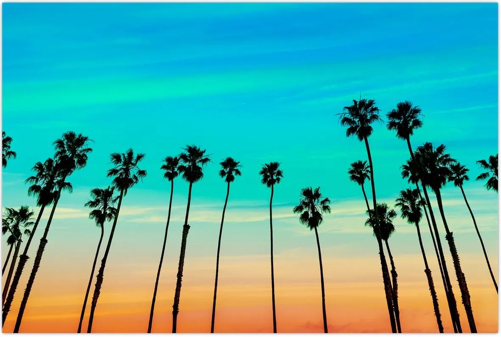 Tablou - California (90x60 cm)