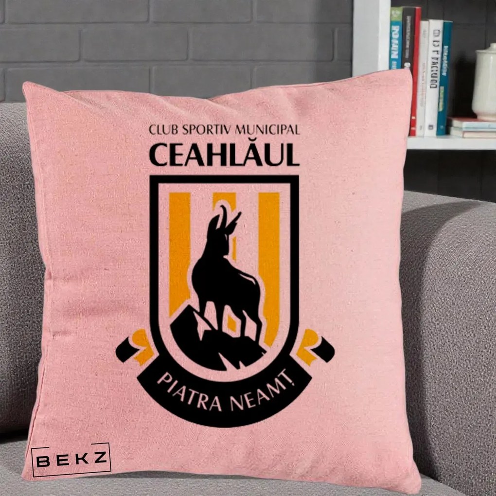 Perna Personalizata CSM Ceahlaul Piatra Neamt Fotbal, 40x40 cm, Roz, Husa Detasabila, Perna Inclusa, BEKZ®