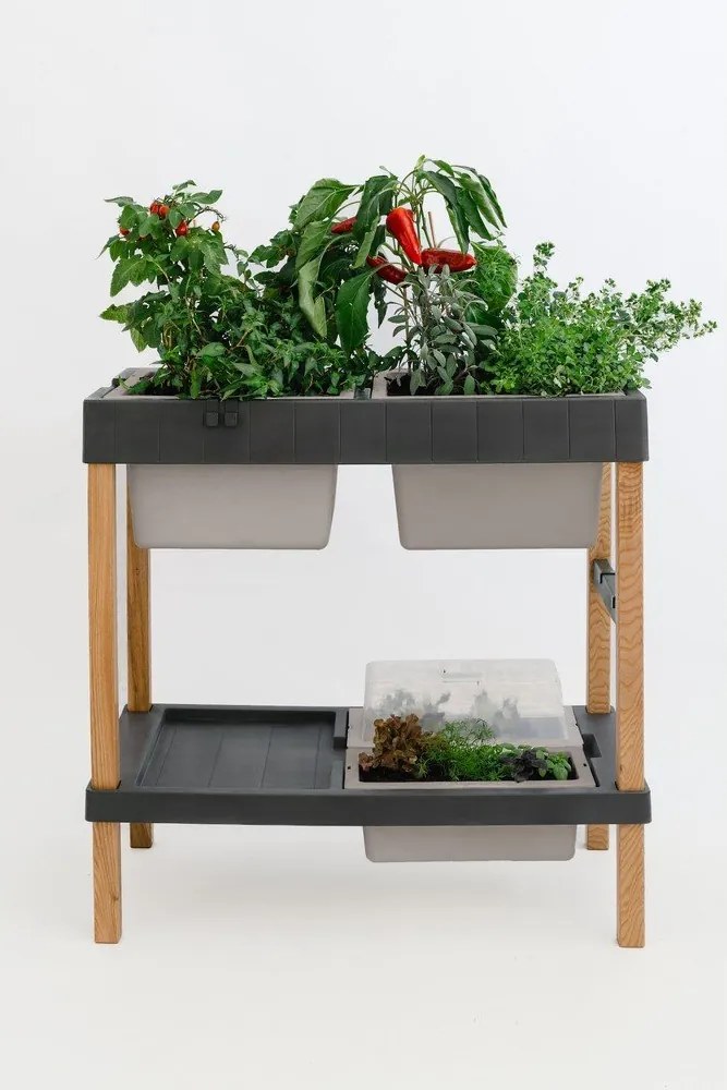 Pat ridicat de plante – Plastia