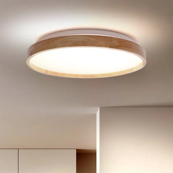 Brilagi - Plafonieră LED dimabilă ALSON LED/48W/230V 3000-6500K + telecomandă