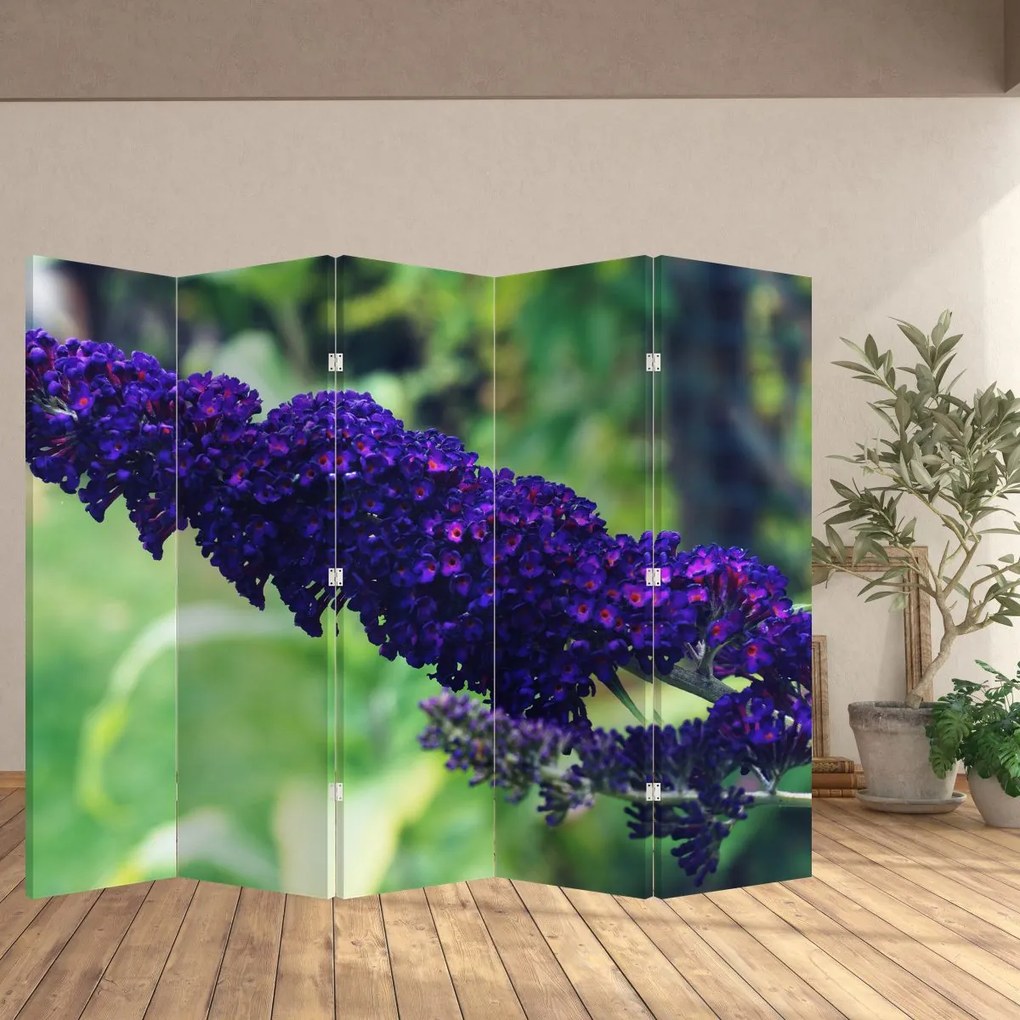 Paravan - Floare albastră (210x170 cm)