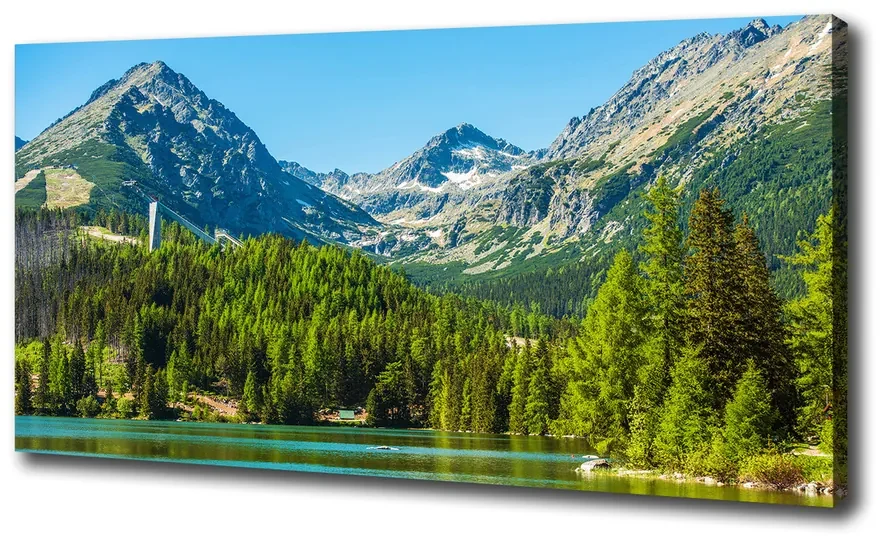 Print pe canvas Lacul în munți
