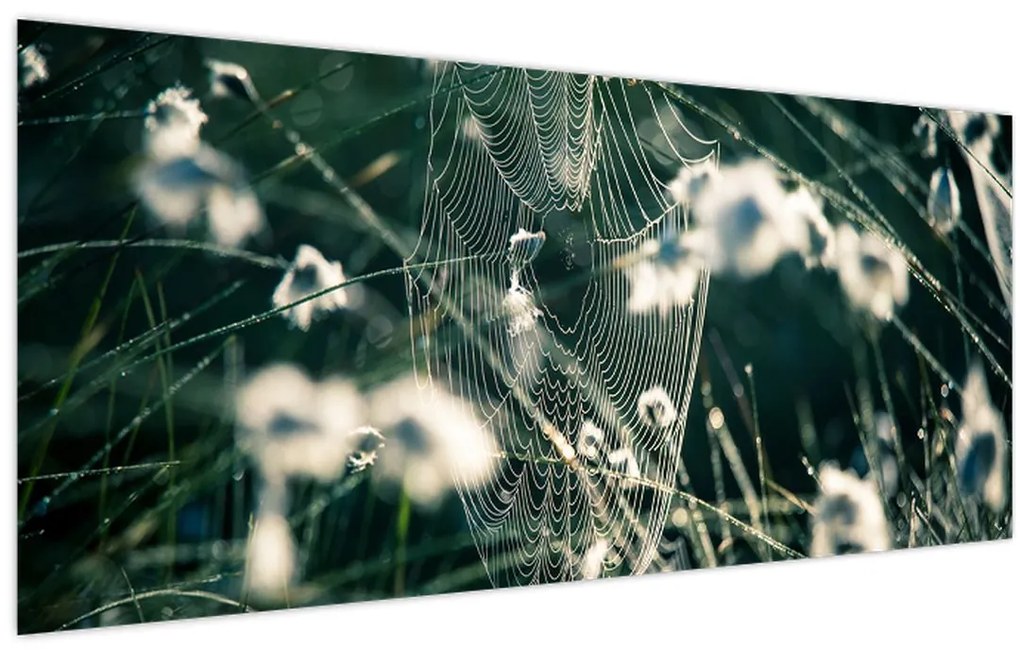 Tablou - Pânză de păianjen (120x50 cm)