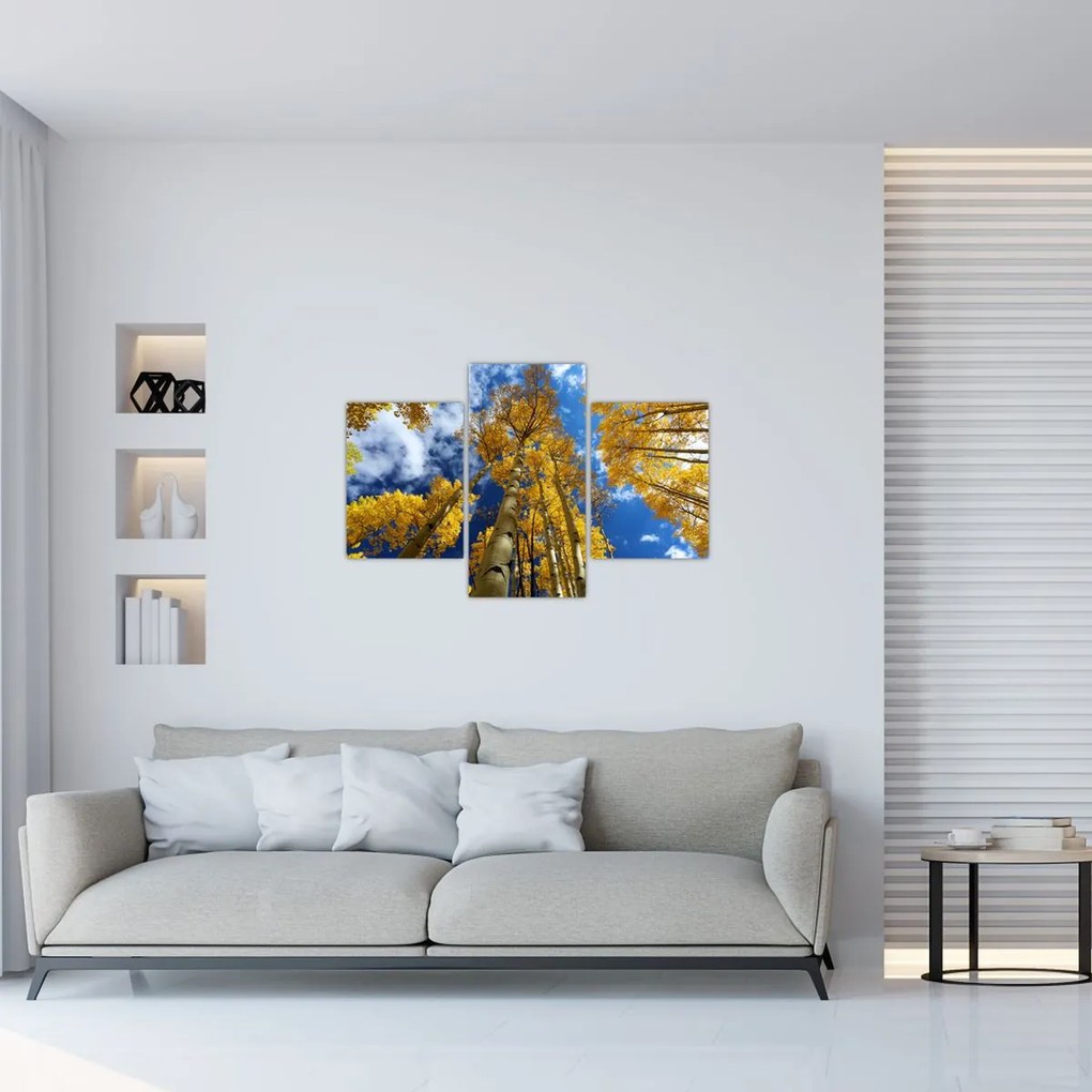 Tablou - Aspen (90x60 cm)