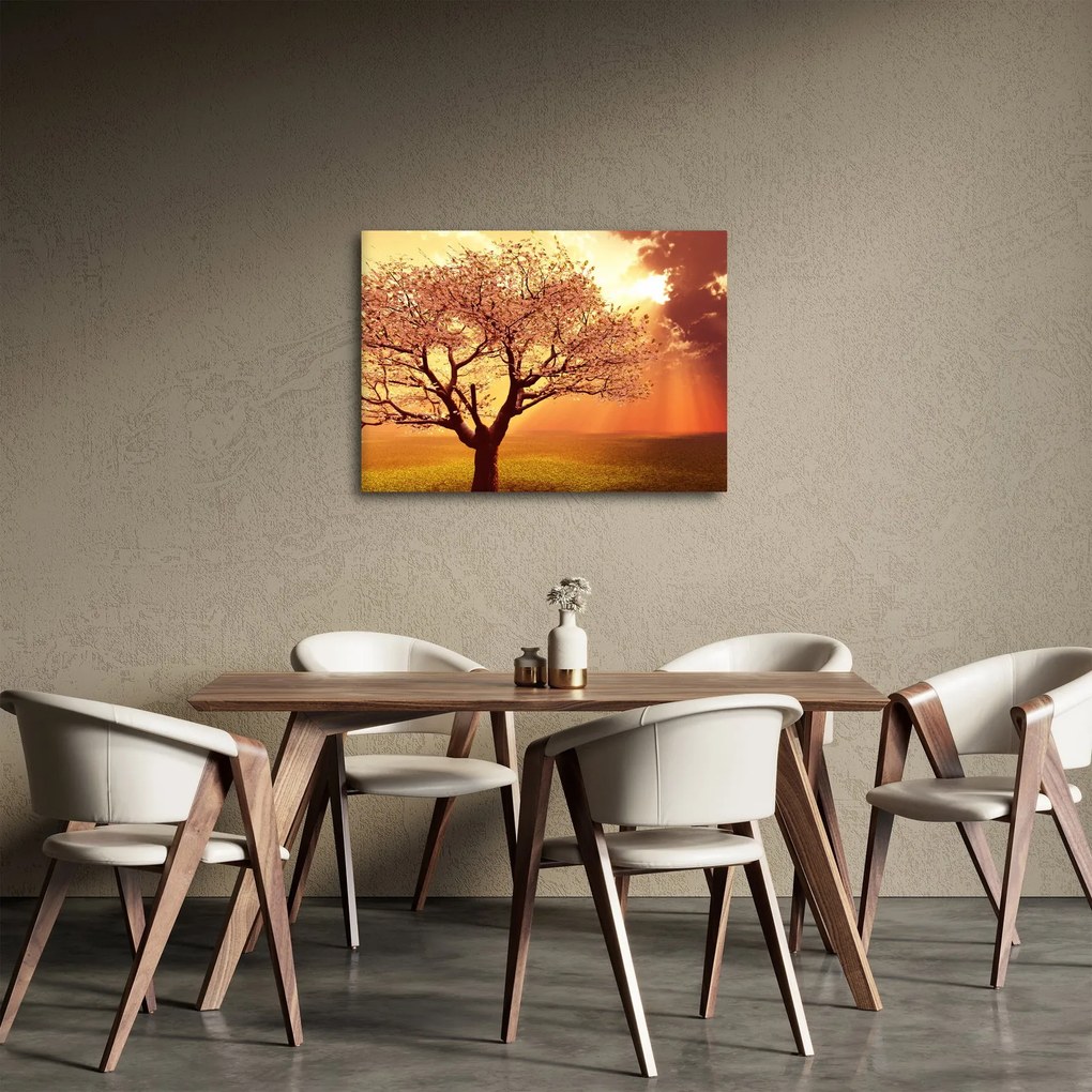 Tablou cu razele lui Dumnezeu (70x50 cm)