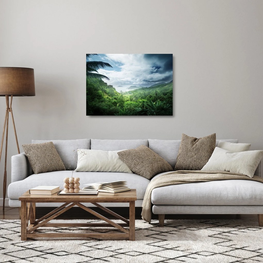 Tablou pe sticlă -Jungla din Seychelles (70x50 cm)