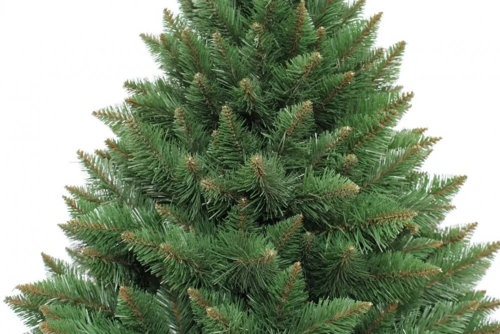 Brad de Crăciun de Himalaya, pin cu trunchi 220 cm