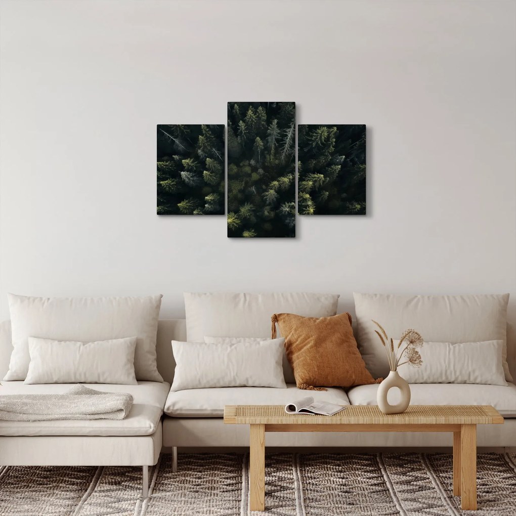 Tablou - Pădure (90x60 cm)