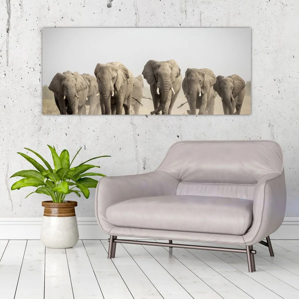 Tablou - Turmă de elefanți (120x50 cm)