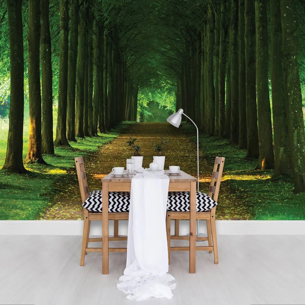 Fototapet - Alee (152,5x104 cm)