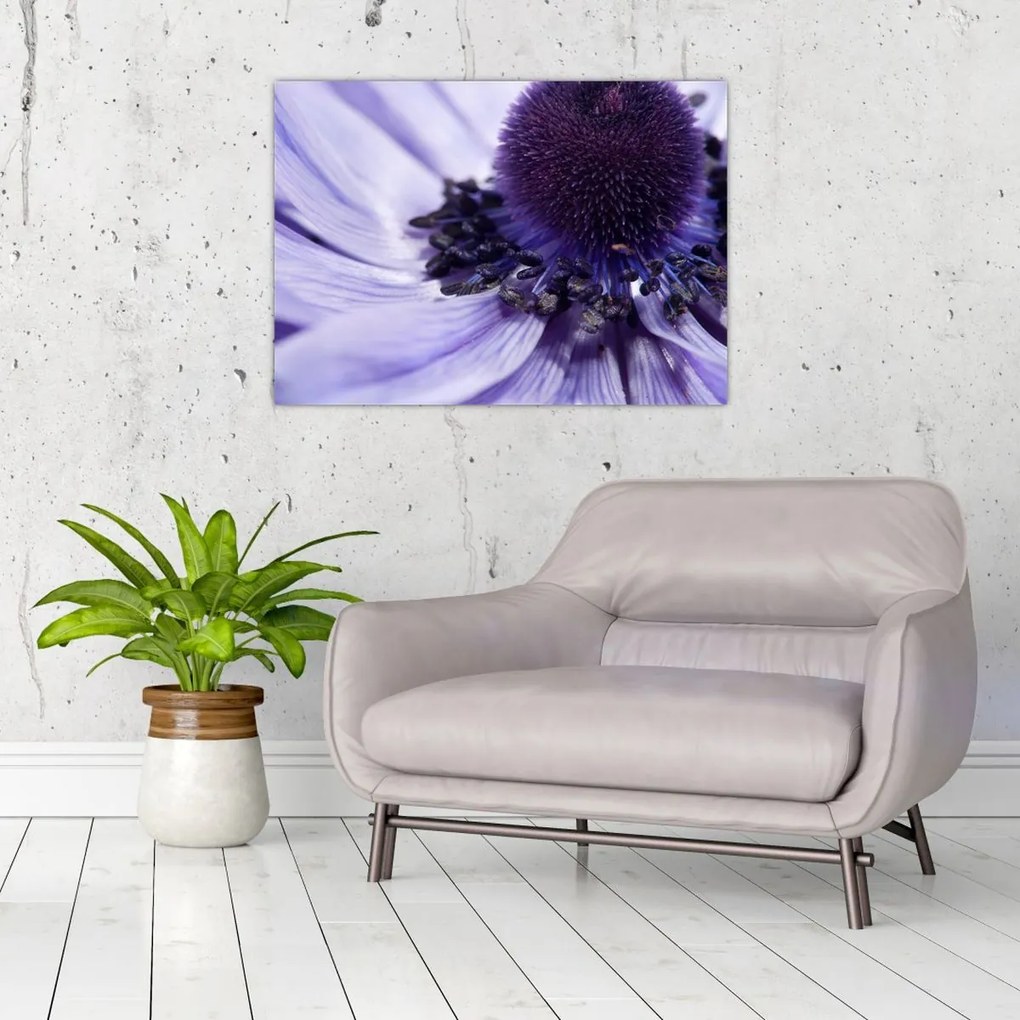 Tablou - Floare mov (70x50 cm)