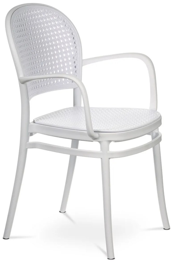 Set de scaune de sufragerie CT-746 WT, 4 buc