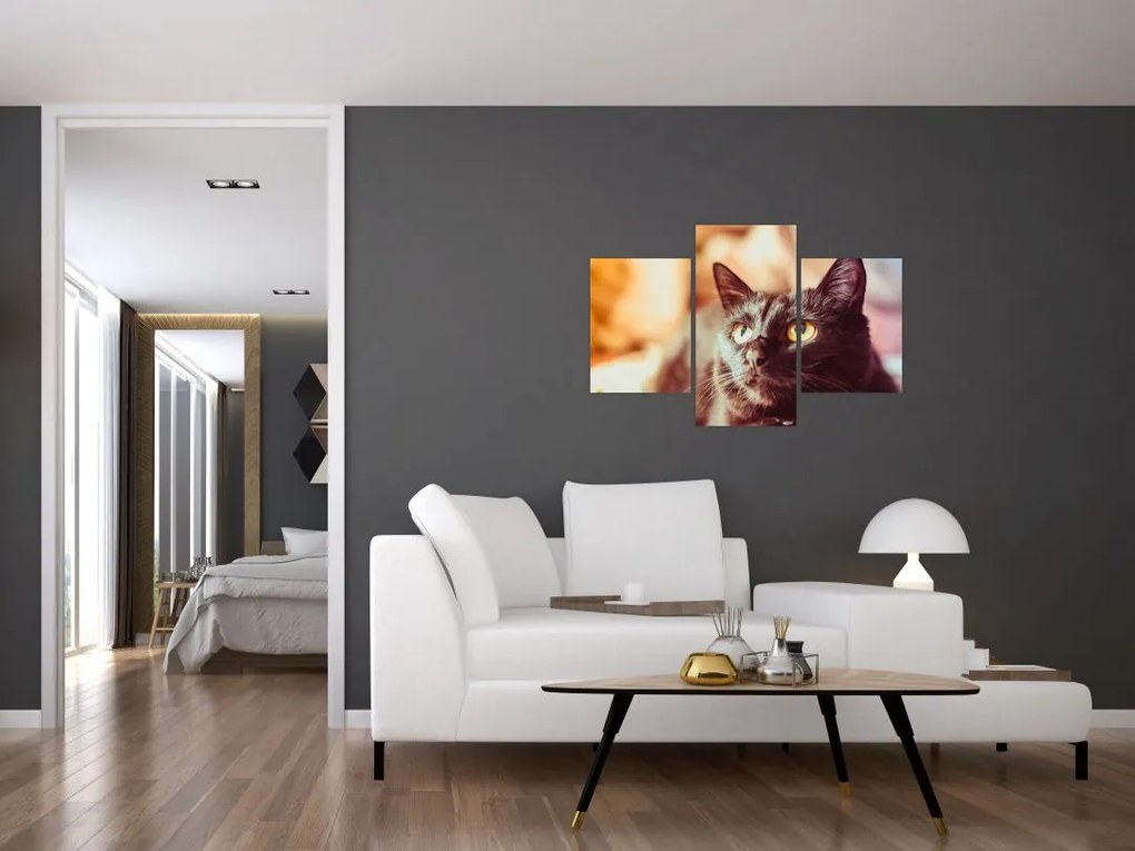 Tablou pisica neagră (90x60 cm)
