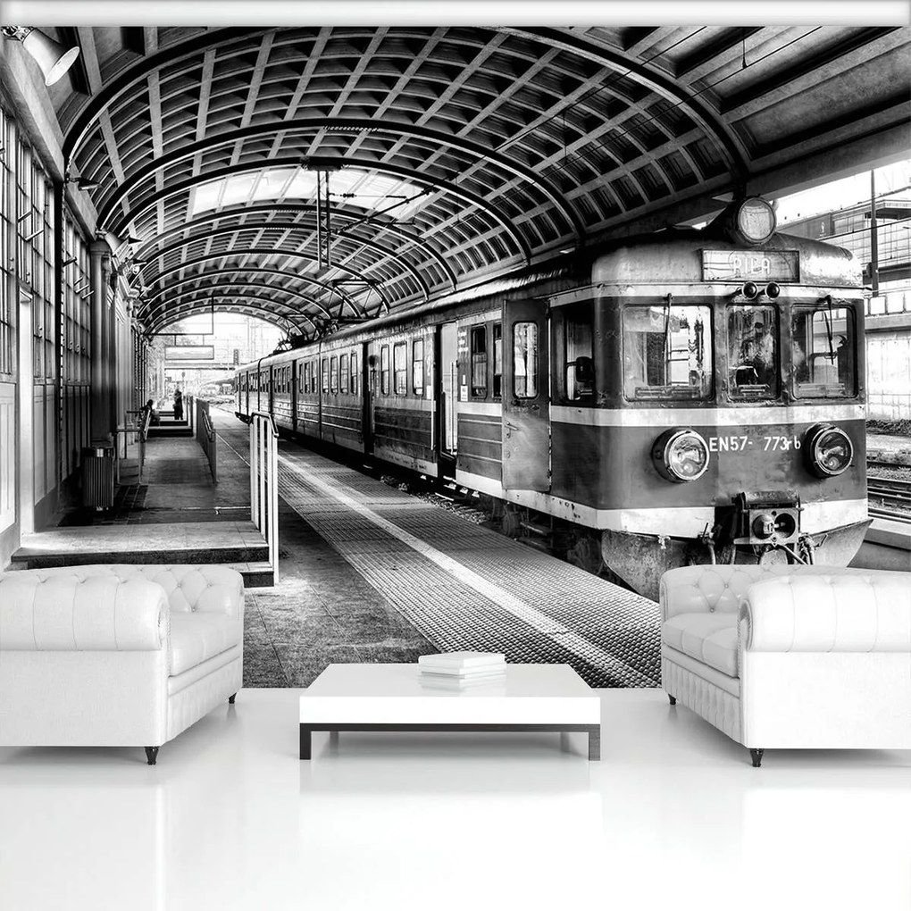 Fototapet - Trenul în gară (152,5x104 cm)