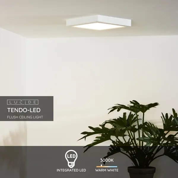 Lucide 07106/18/31 - Plafoniera TENDO-LED LED/18W/230V