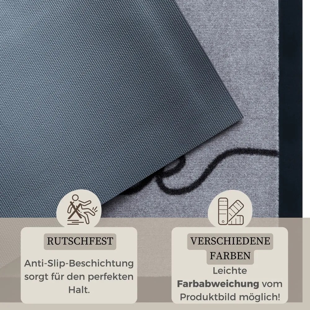 Covoraș de intrare 45x75 cm Cozy Welcome – Hanse Home