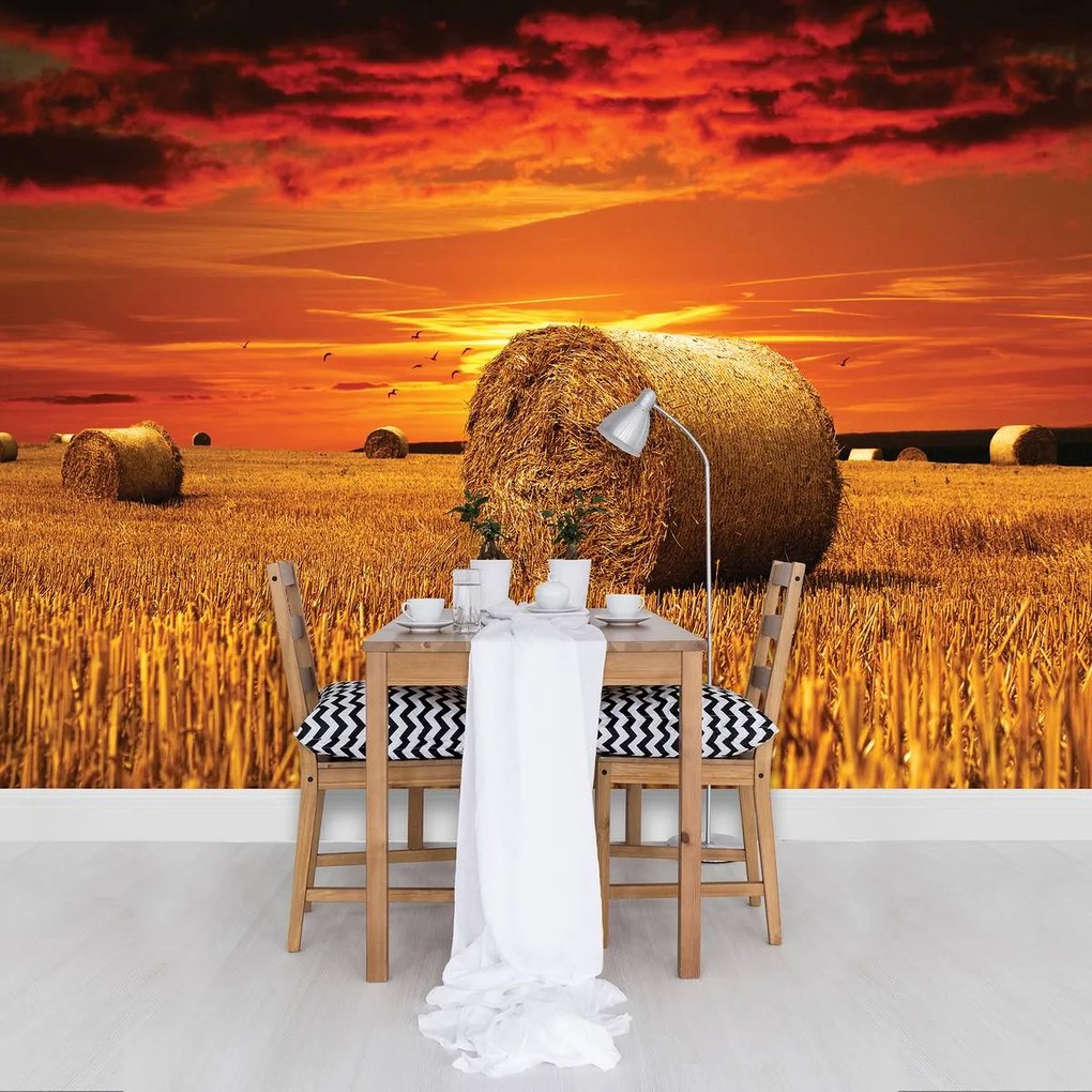 Fototapet - Câmp (152,5x104 cm)
