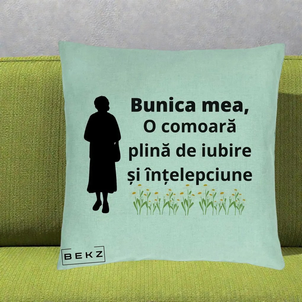 Cadou pentru Bunica - Perna Personalizata Bunica Mea Comoara Iubire Intelepciune Silueta cu Nepoata, 40x40 cm, Verde Menta, Husa Detasabila, Perna Inclusa, BEKZ®