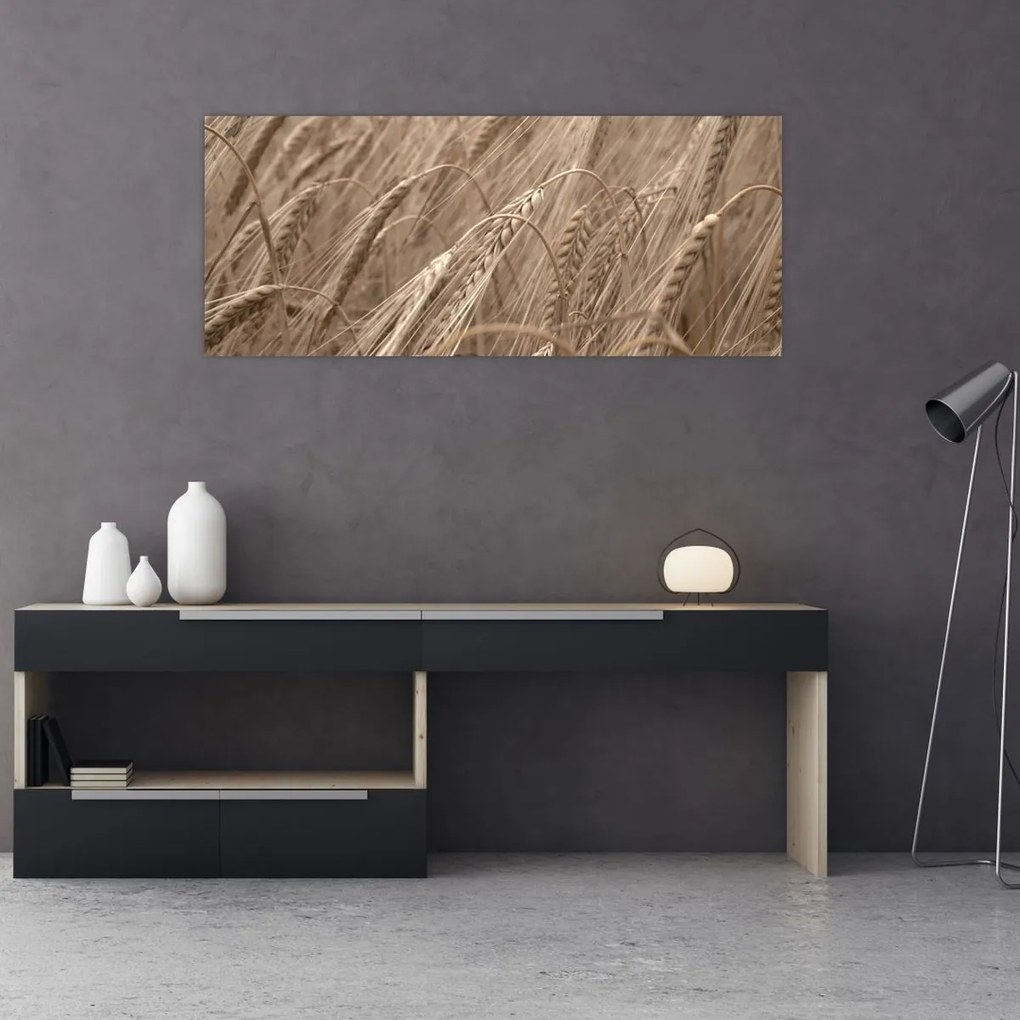 Tablou - Câmpul de aur (120x50 cm)