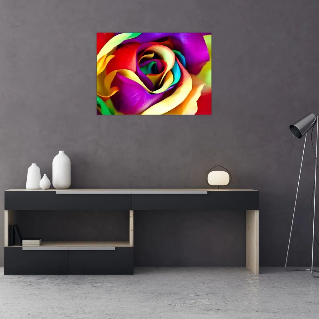 Tablou - Trandafir colorat (70x50 cm)