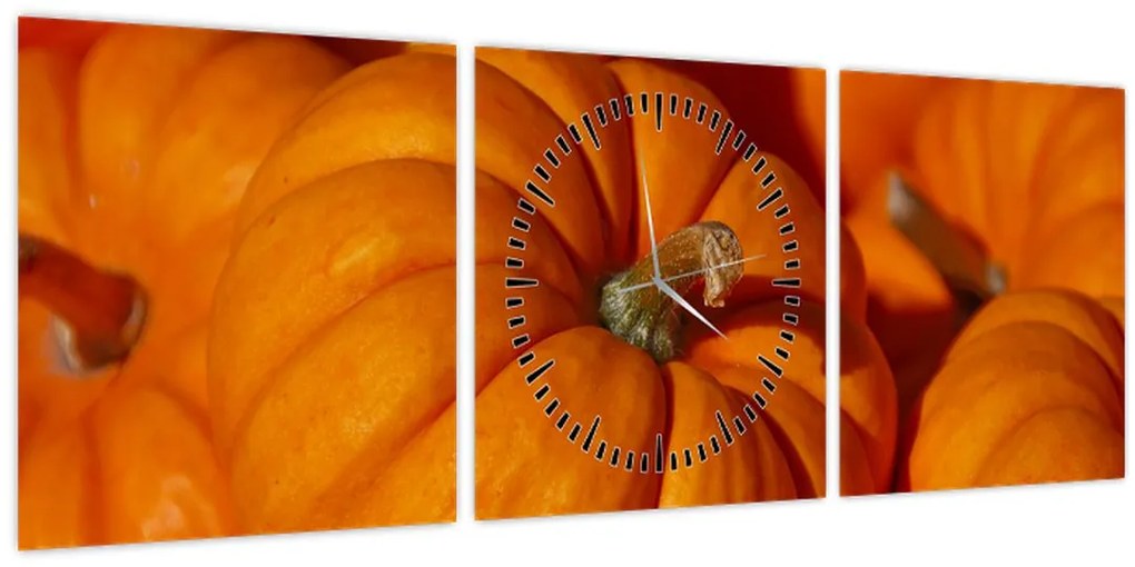 Tablou - Dovleci mari (cu ceas) (90x30 cm)